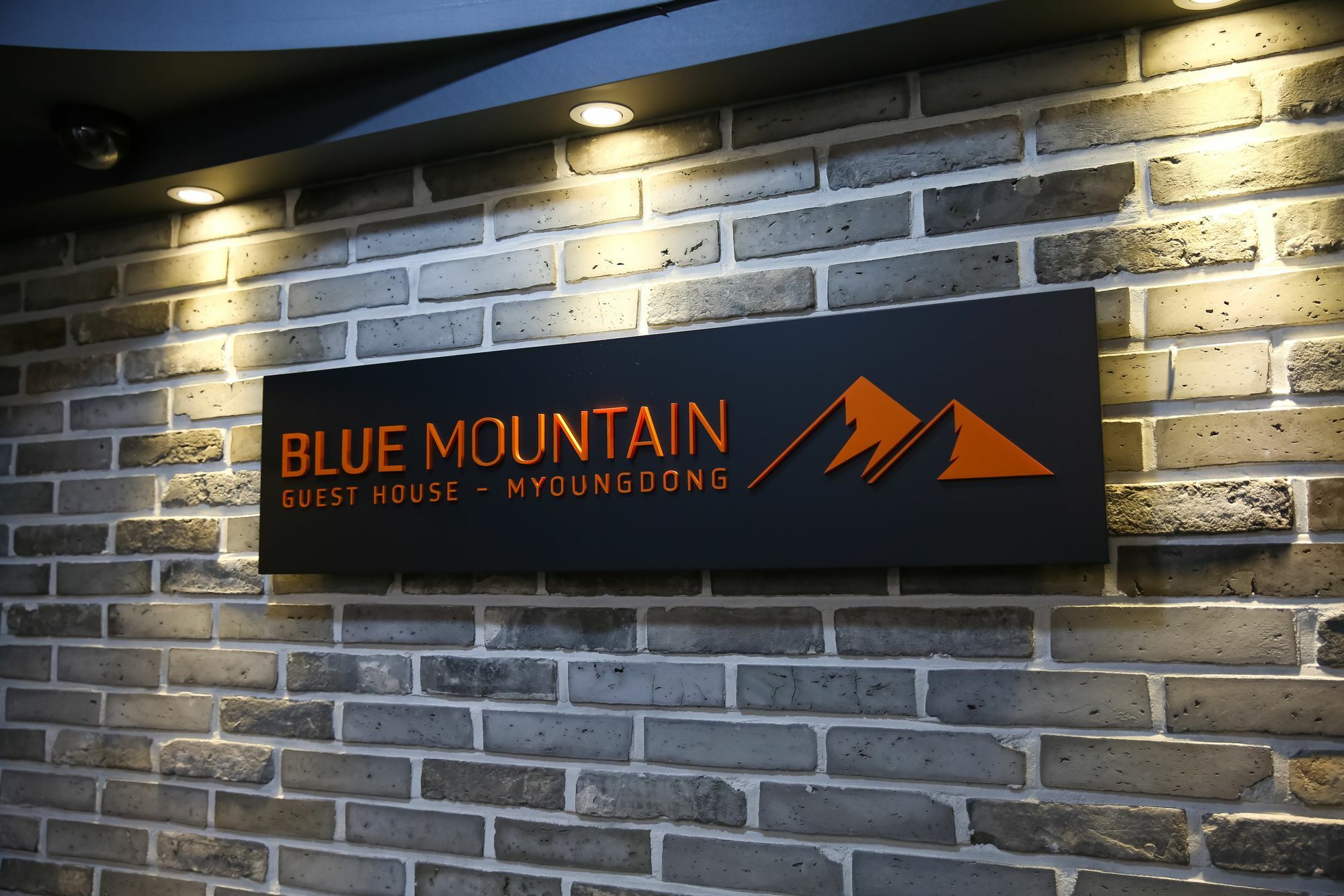 Blue Mountain Myeong-Dong Otel Seul Dış mekan fotoğraf