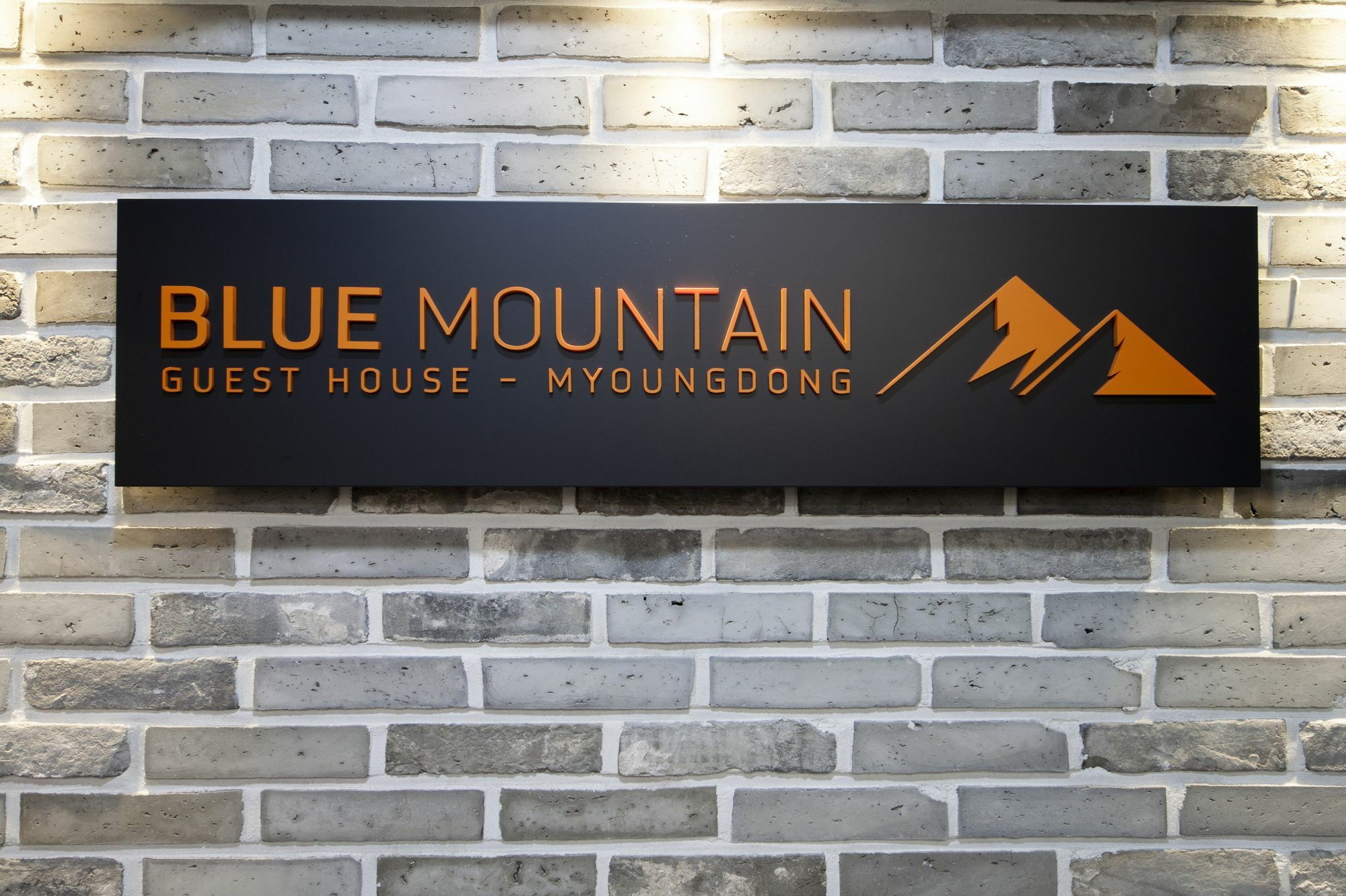 Blue Mountain Myeong-Dong Otel Seul Dış mekan fotoğraf