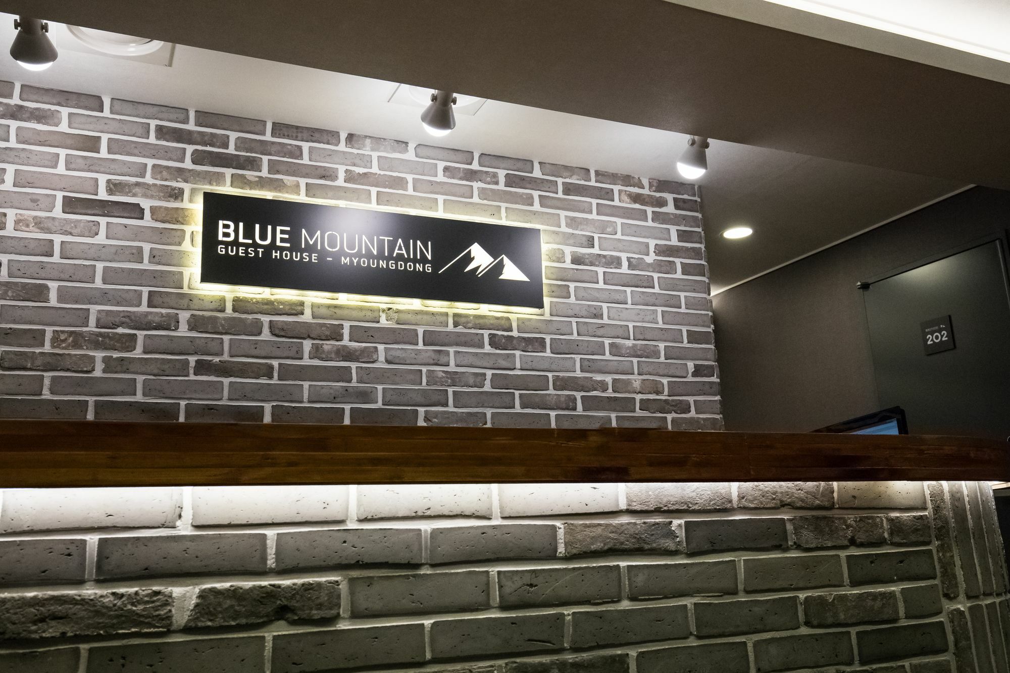 Blue Mountain Myeong-Dong Otel Seul Dış mekan fotoğraf