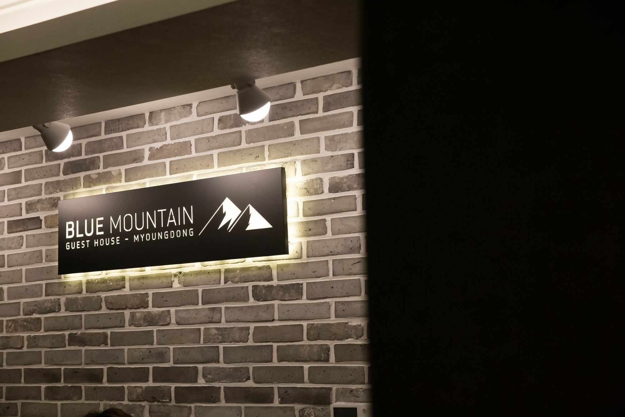 Blue Mountain Myeong-Dong Otel Seul Dış mekan fotoğraf